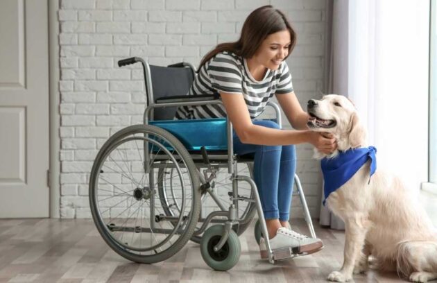 Animal Assisted Therapy